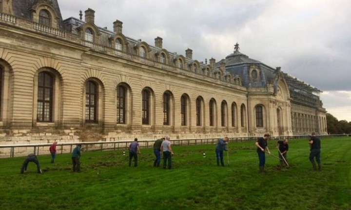 Nevítaní návštevníci. Diviaky rozryli dráhu vo francúzskom Chantilly